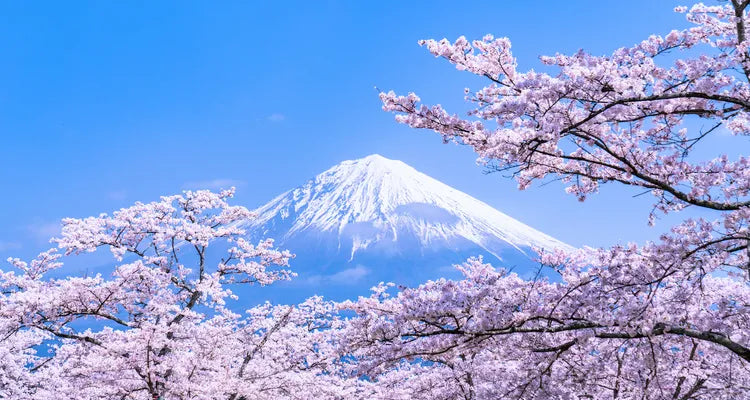 mount fuji Japan