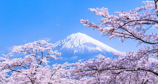 mount fuji Japan